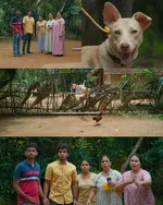 reshmi boban memes, memes, plain memes, reshmi boban plain meme, malayalam memes - Karthaave ente kozhi